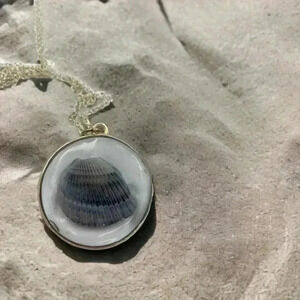 Seashells by the Seashore Cockle Shell Resin Statement Necklace Silver Chain 22"